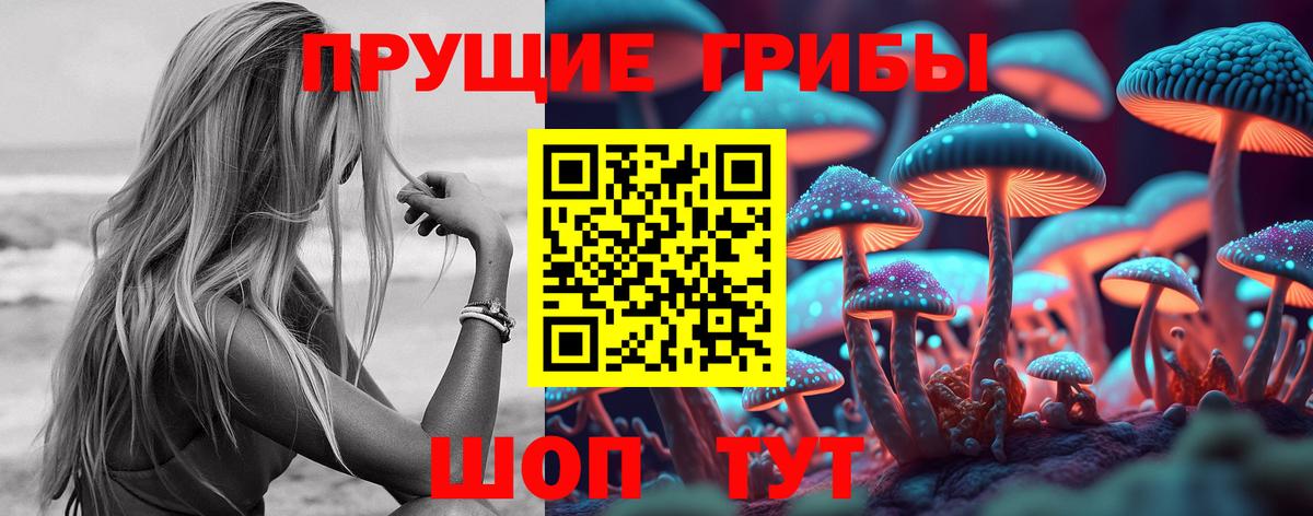 Новочеркасск  наркотики  Вход с VPN  Галлюциногенные грибы мицелий 